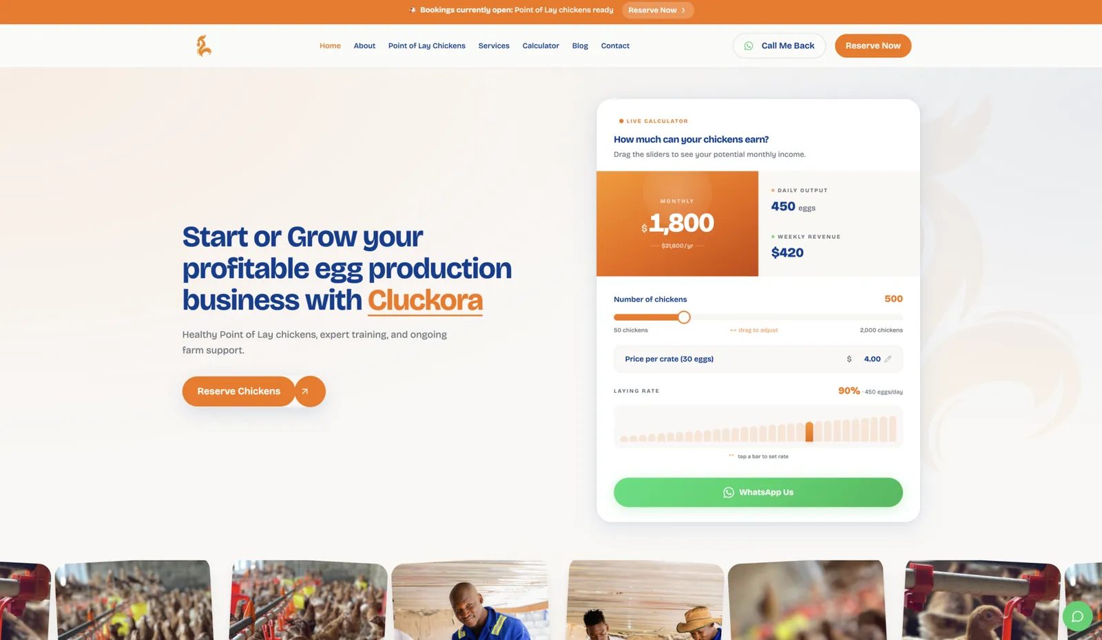 Cluckora poultry business website homepage with an interactive egg production calculator